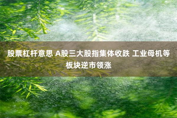 股票杠杆意思 A股三大股指集体收跌 工业母机等板块逆市领涨