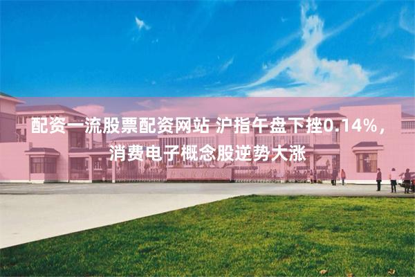 配资一流股票配资网站 沪指午盘下挫0.14%，消费电子概念股逆势大涨