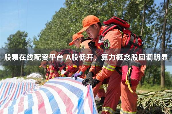 股票在线配资平台 A股低开，算力概念股回调明显