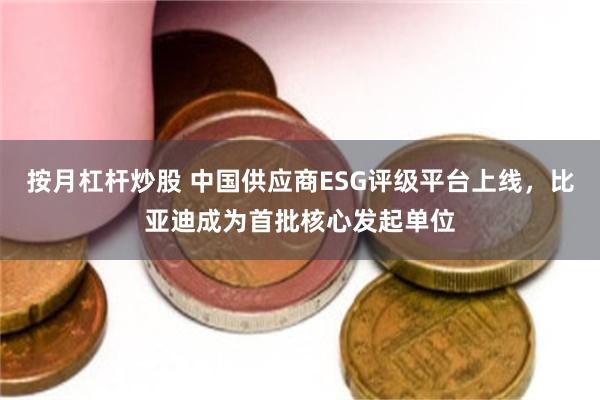 按月杠杆炒股 中国供应商ESG评级平台上线，比亚迪成为首批核心发起单位