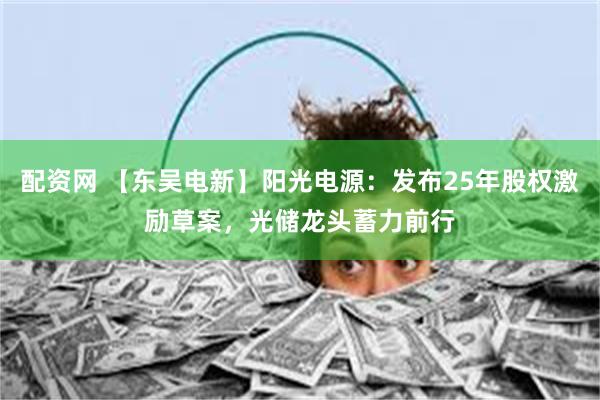 配资网 【东吴电新】阳光电源：发布25年股权激励草案，光储龙头蓄力前行