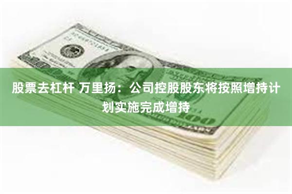 股票去杠杆 万里扬：公司控股股东将按照增持计划实施完成增持