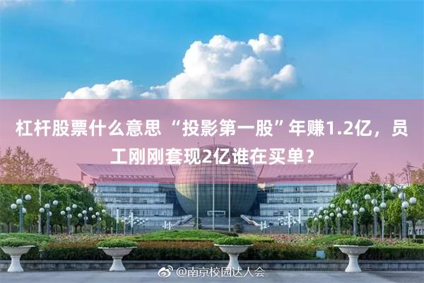 杠杆股票什么意思 “投影第一股”年赚1.2亿，员工刚刚套现2亿谁在买单？