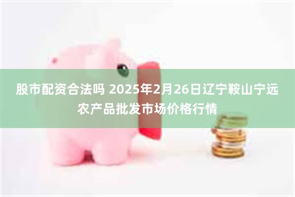 股市配资合法吗 2025年2月26日辽宁鞍山宁远农产品批发市场价格行情