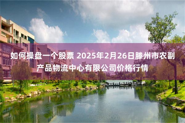 如何操盘一个股票 2025年2月26日滕州市农副产品物流中心有限公司价格行情