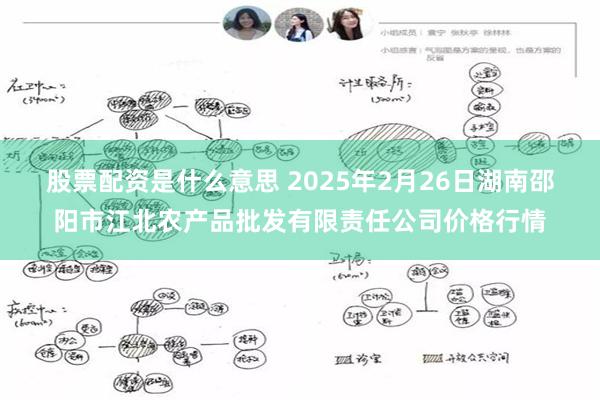 股票配资是什么意思 2025年2月26日湖南邵阳市江北农产品批发有限责任公司价格行情