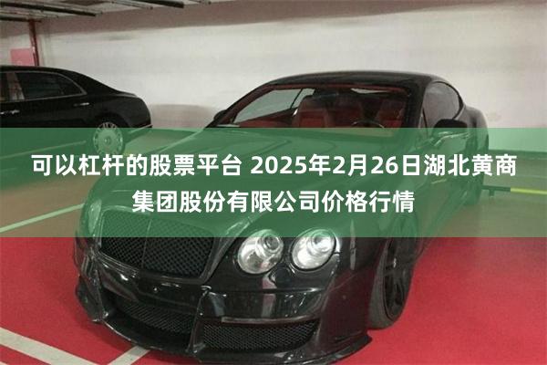 可以杠杆的股票平台 2025年2月26日湖北黄商集团股份有限公司价格行情