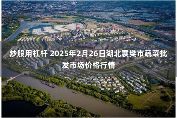 炒股用杠杆 2025年2月26日湖北襄樊市蔬菜批发市场价格行情