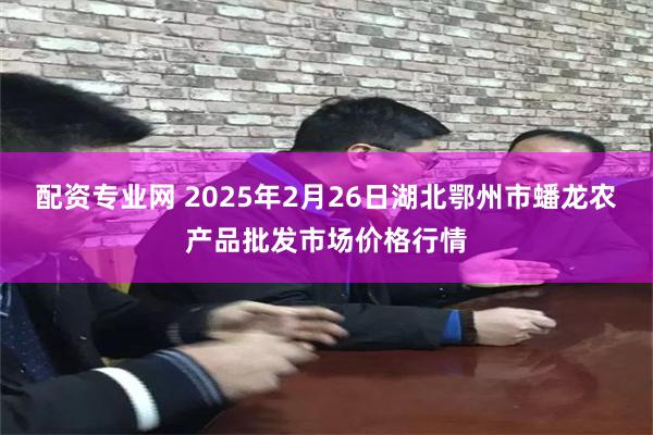配资专业网 2025年2月26日湖北鄂州市蟠龙农产品批发市场价格行情