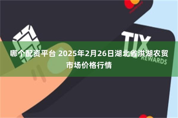 哪个配资平台 2025年2月26日湖北省洪湖农贸市场价格行情