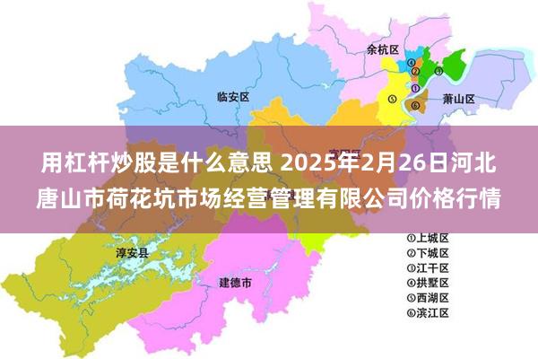 用杠杆炒股是什么意思 2025年2月26日河北唐山市荷花坑市场经营管理有限公司价格行情