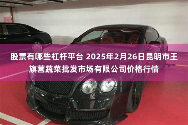 股票有哪些杠杆平台 2025年2月26日昆明市王旗营蔬菜批发市场有限公司价格行情
