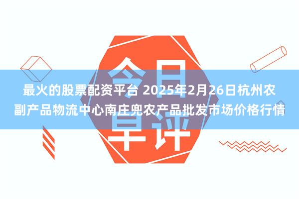 最火的股票配资平台 2025年2月26日杭州农副产品物流中心南庄兜农产品批发市场价格行情