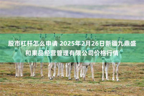 股市杠杆怎么申请 2025年2月26日新疆九鼎盛和果品经营管理有限公司价格行情