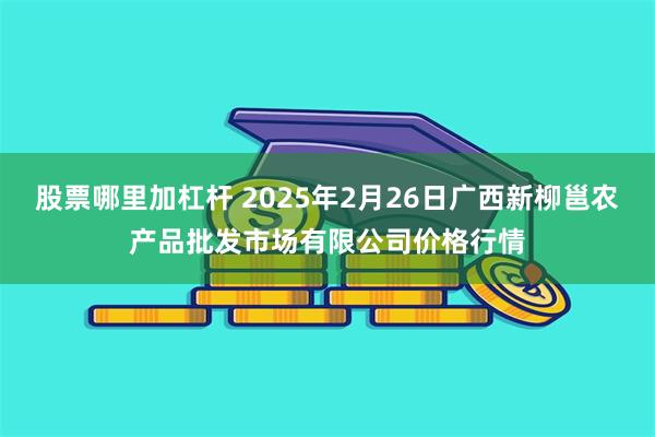 股票哪里加杠杆 2025年2月26日广西新柳邕农产品批发市场有限公司价格行情