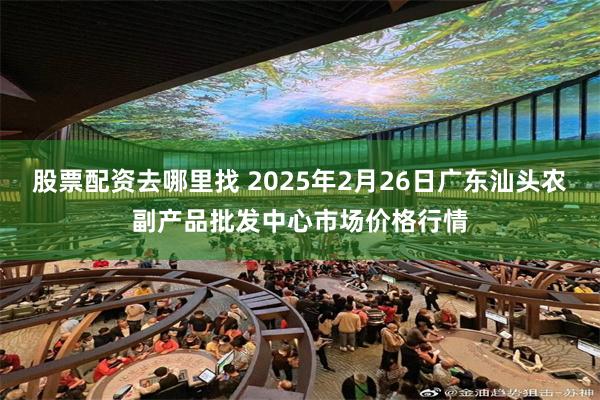 股票配资去哪里找 2025年2月26日广东汕头农副产品批发中心市场价格行情