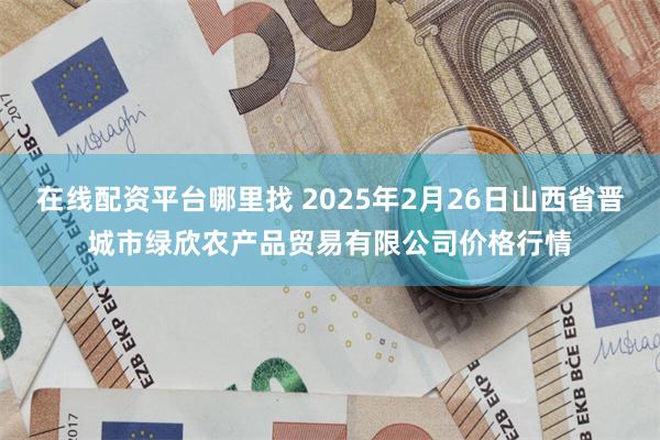 在线配资平台哪里找 2025年2月26日山西省晋城市绿欣农产品贸易有限公司价格行情