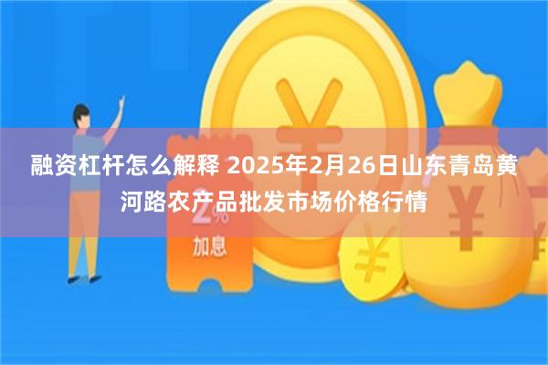 融资杠杆怎么解释 2025年2月26日山东青岛黄河路农产品批发市场价格行情