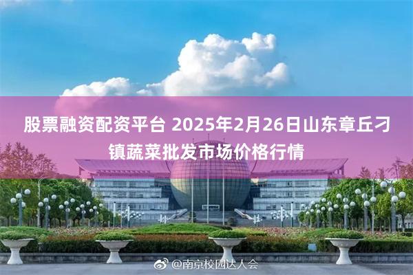 股票融资配资平台 2025年2月26日山东章丘刁镇蔬菜批发市场价格行情