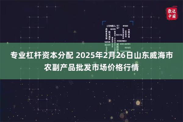 专业杠杆资本分配 2025年2月26日山东威海市农副产品批发市场价格行情