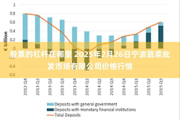 股票的杠杆在哪里 2025年2月26日宁波蔬菜批发市场有限公司价格行情
