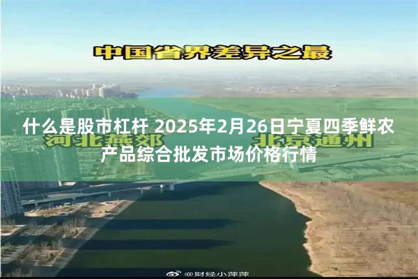 什么是股市杠杆 2025年2月26日宁夏四季鲜农产品综合批发市场价格行情