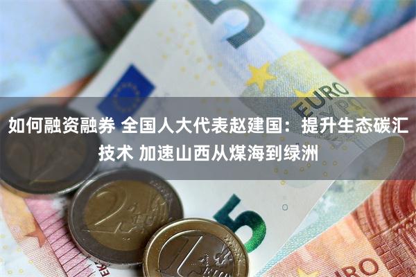 如何融资融券 全国人大代表赵建国：提升生态碳汇技术 加速山西从煤海到绿洲