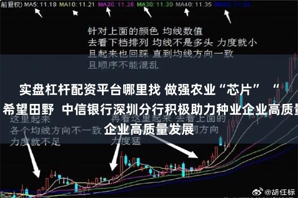 实盘杠杆配资平台哪里找 做强农业“芯片”  “滴灌”希望田野  中信银行深圳分行积极助力种业企业高质量发展