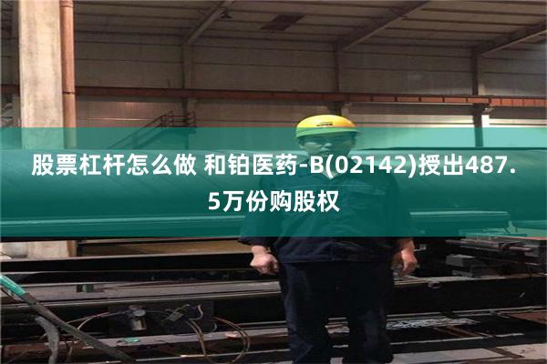 股票杠杆怎么做 和铂医药-B(02142)授出487.5万份购股权