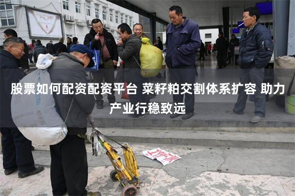 股票如何配资配资平台 菜籽粕交割体系扩容 助力产业行稳致远