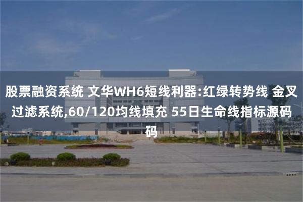 股票融资系统 文华WH6短线利器:红绿转势线 金叉过滤系统,60/120均线填充 55日生命线指标源码