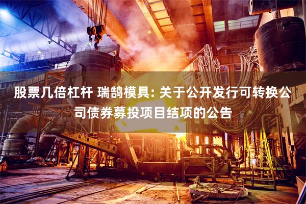 股票几倍杠杆 瑞鹄模具: 关于公开发行可转换公司债券募投项目结项的公告