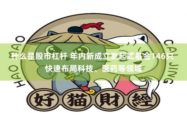 什么是股市杠杆 年内新成立发起式基金146只 快速布局科技、医药等领域
