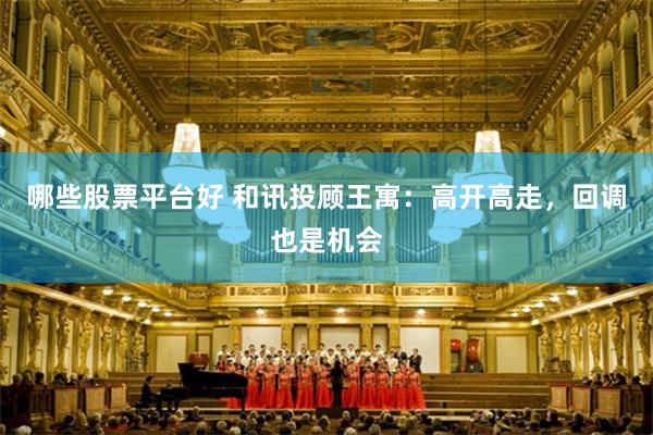 哪些股票平台好 和讯投顾王寓：高开高走，回调也是机会