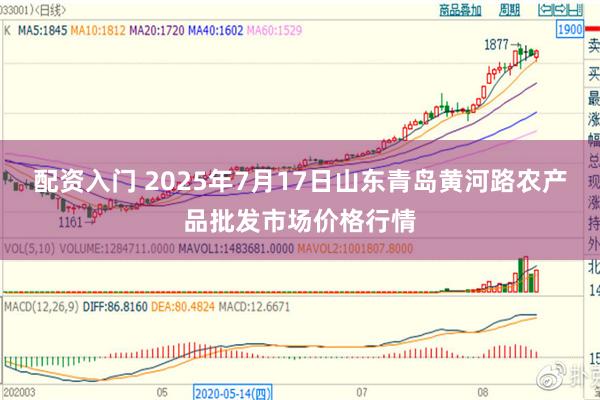 配资入门 2025年7月17日山东青岛黄河路农产品批发市场价格行情