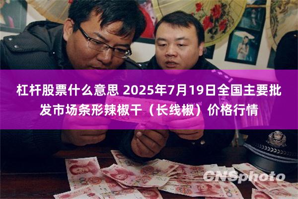 杠杆股票什么意思 2025年7月19日全国主要批发市场条形辣椒干（长线椒）价格行情