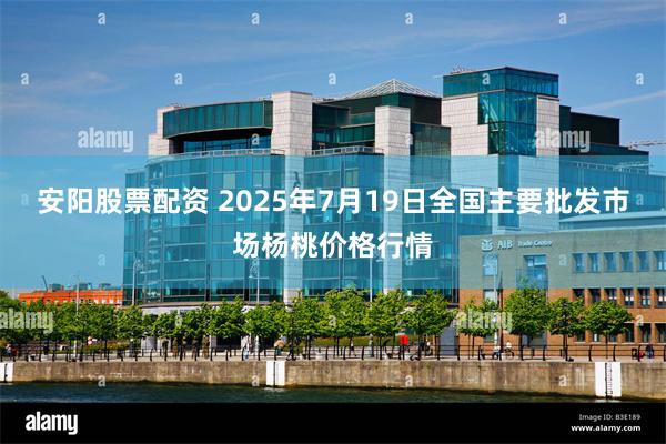 安阳股票配资 2025年7月19日全国主要批发市场杨桃价格行情