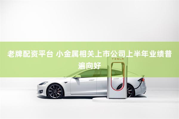 老牌配资平台 小金属相关上市公司上半年业绩普遍向好