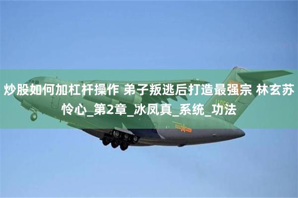 炒股如何加杠杆操作 弟子叛逃后打造最强宗 林玄苏怜心_第2章_冰凤真_系统_功法