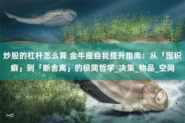 炒股的杠杆怎么算 金牛座自我提升指南：从「囤积癖」到「断舍离」的极简哲学_决策_物品_空间