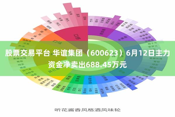 股票交易平台 华谊集团（600623）6月12日主力资金净卖出688.45万元