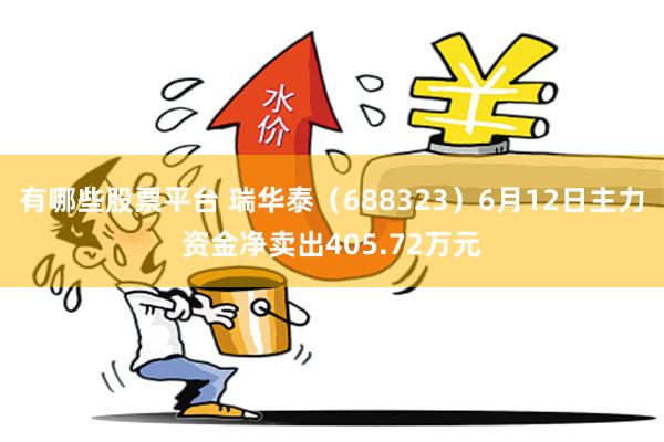 有哪些股票平台 瑞华泰（688323）6月12日主力资金净卖出405.72万元