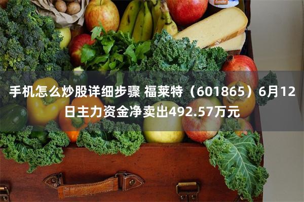手机怎么炒股详细步骤 福莱特(601865)6月12日主力资金净卖出492.57万元