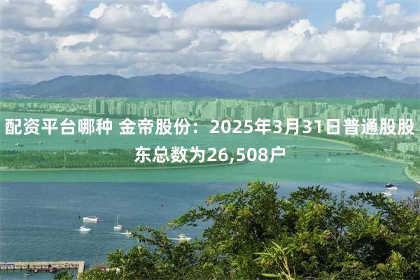 配资平台哪种 金帝股份：2025年3月31日普通股股东总数为26,508户