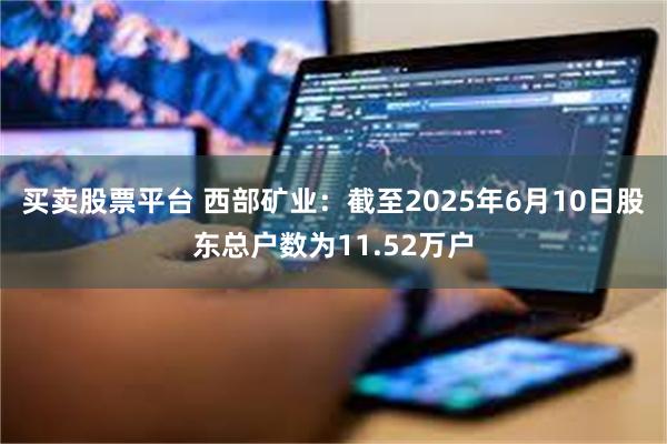 买卖股票平台 西部矿业：截至2025年6月10日股东总户数为11.52万户