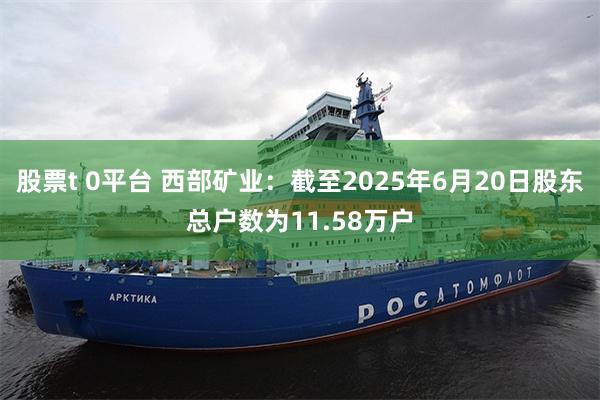 股票t 0平台 西部矿业：截至2025年6月20日股东总户数为11.58万户