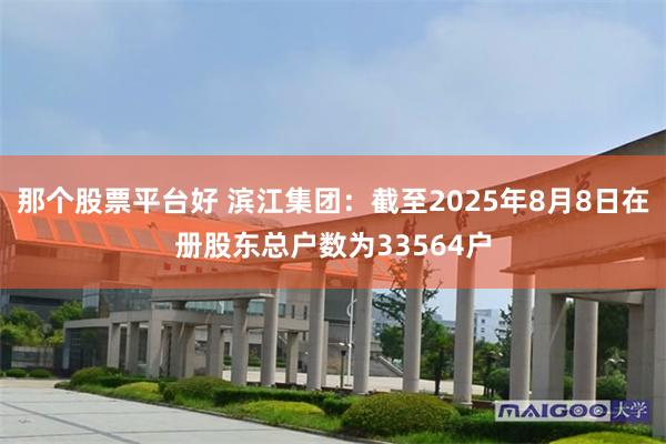 那个股票平台好 滨江集团：截至2025年8月8日在册股东总户数为33564户