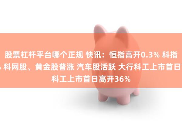股票杠杆平台哪个正规 快讯：恒指高开0.3% 科指涨0.57% 科网股、黄金股普涨 汽车股活跃 大行科工上市首日高开36%