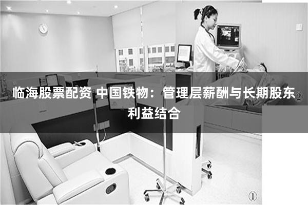 临海股票配资 中国铁物：管理层薪酬与长期股东利益结合