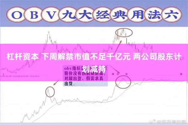 杠杆资本 下周解禁市值不足千亿元 两公司股东计划减持